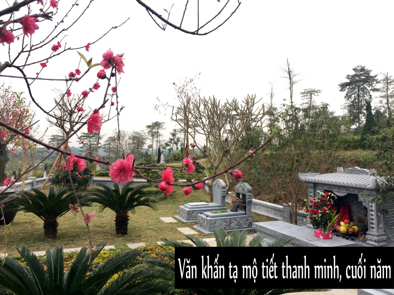 Văn khấn tạ mộ tiết Thanh Minh và cách sắm đồ cúng lễ Thanh Minh ở mộ